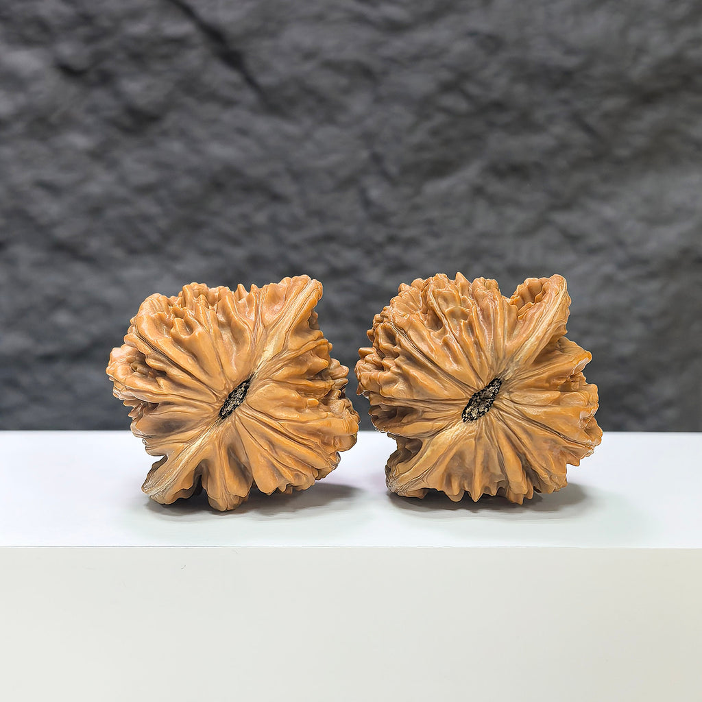 Pair of Sizuolou Classic Wenwan Walnut carvings by Wenwan Art, 42mm x 38mm, detailed wood craftsmanship.