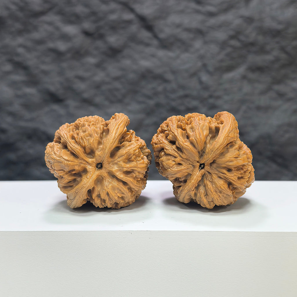 Pair of North China General Shoulder Crippled Foot Wenwan walnuts from Wenwan Art, 39mm x 40mm, showing detailed natural walnut features.