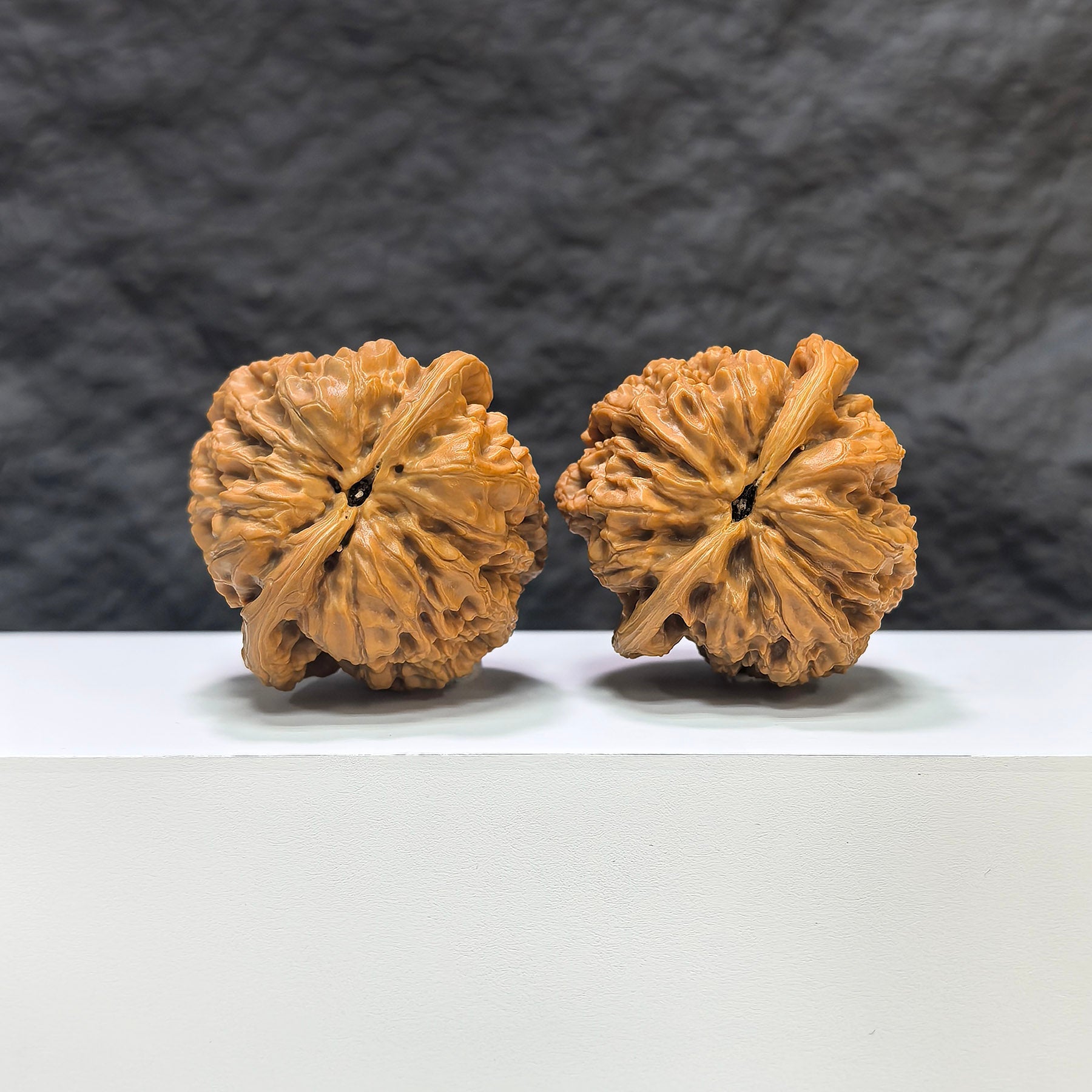 【收藏級】華北將軍嶺 文玩核桃 (4.6 × 4.6cm) | [Collector's Grade] North China General Ridge Walnut (4.6 × 4.6cm) - SKU: HBJSL-1C8