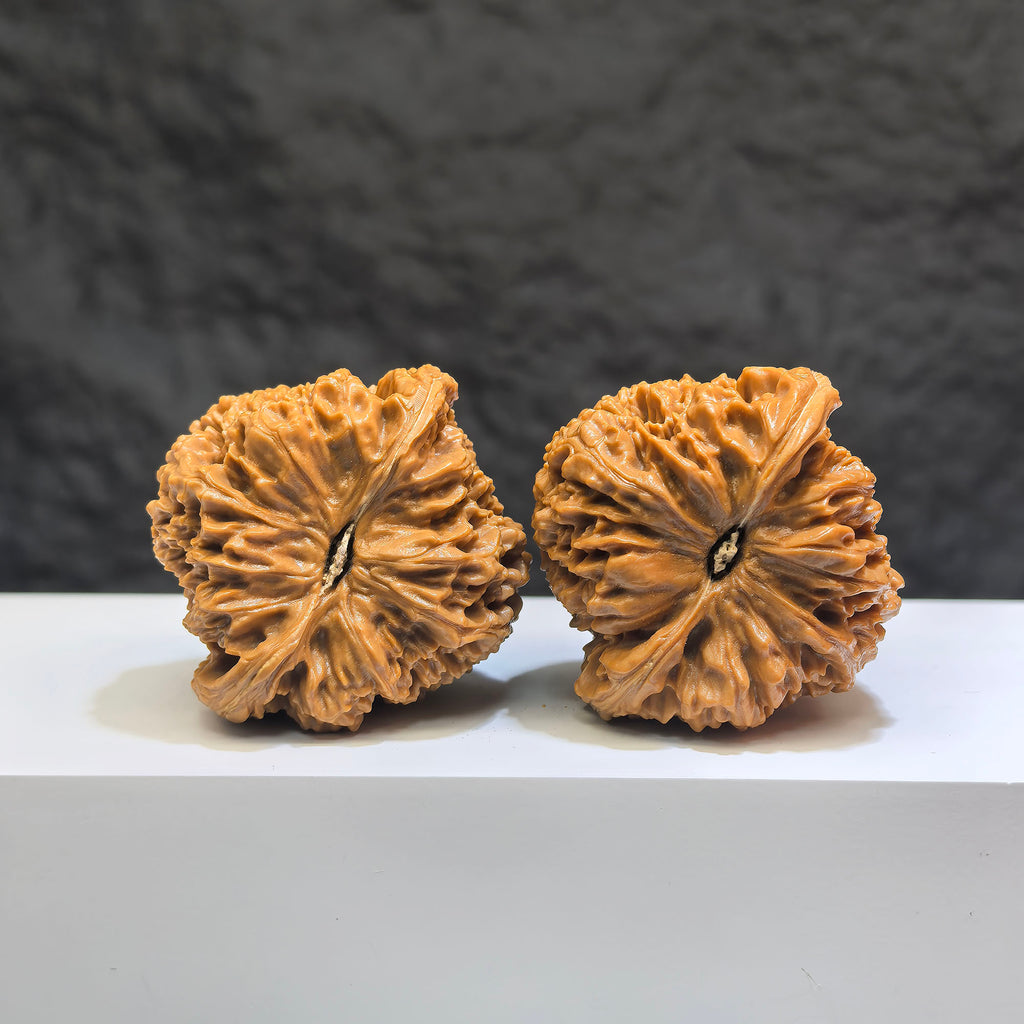 Pair of Classic Scholar Wenwan Walnut carvings by Wenwan Art, hand-matched triangle-shaped South Xinjiang stone, 42mm size.