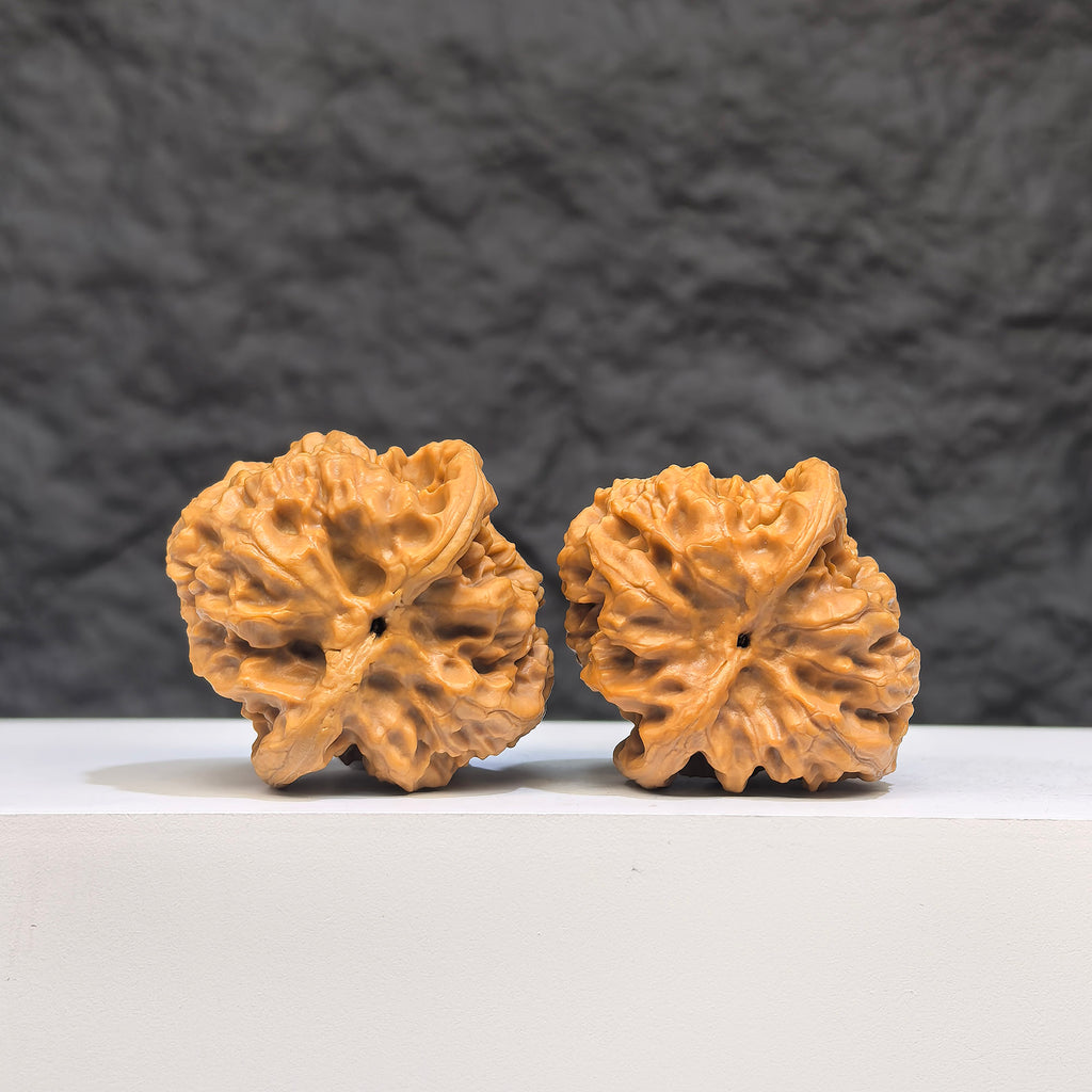 Authentic Wild Wenwan Walnut pair from Wenwan Art, featuring natural wood grain, 33mm x 36mm size, wild wolf design.