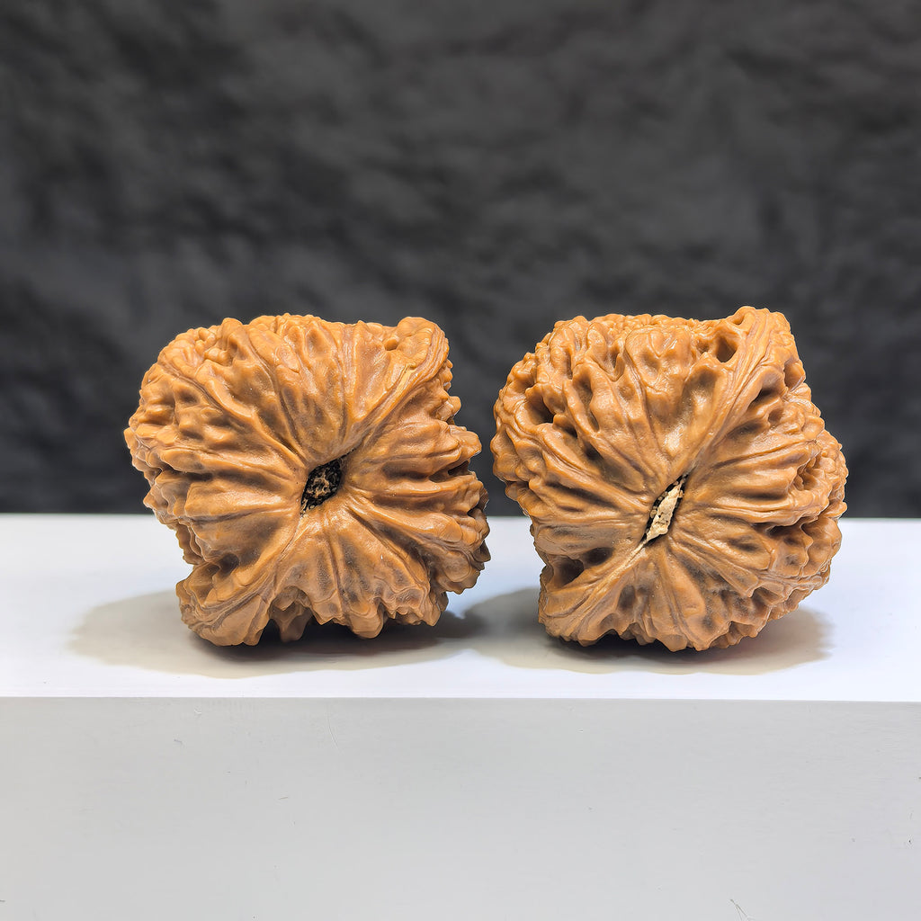 Pair of Nanjiangstone Wenwan Walnuts from Wenwan Art, 38mm size, showcasing smooth, polished natural stone with detailed surface texture.