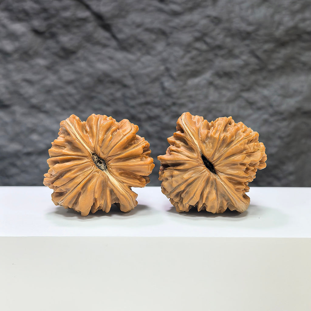 Pair of Sizuolou Classic Wenwan Walnuts from Wenwan Art, 42mm size, showing detailed carved walnut carvings