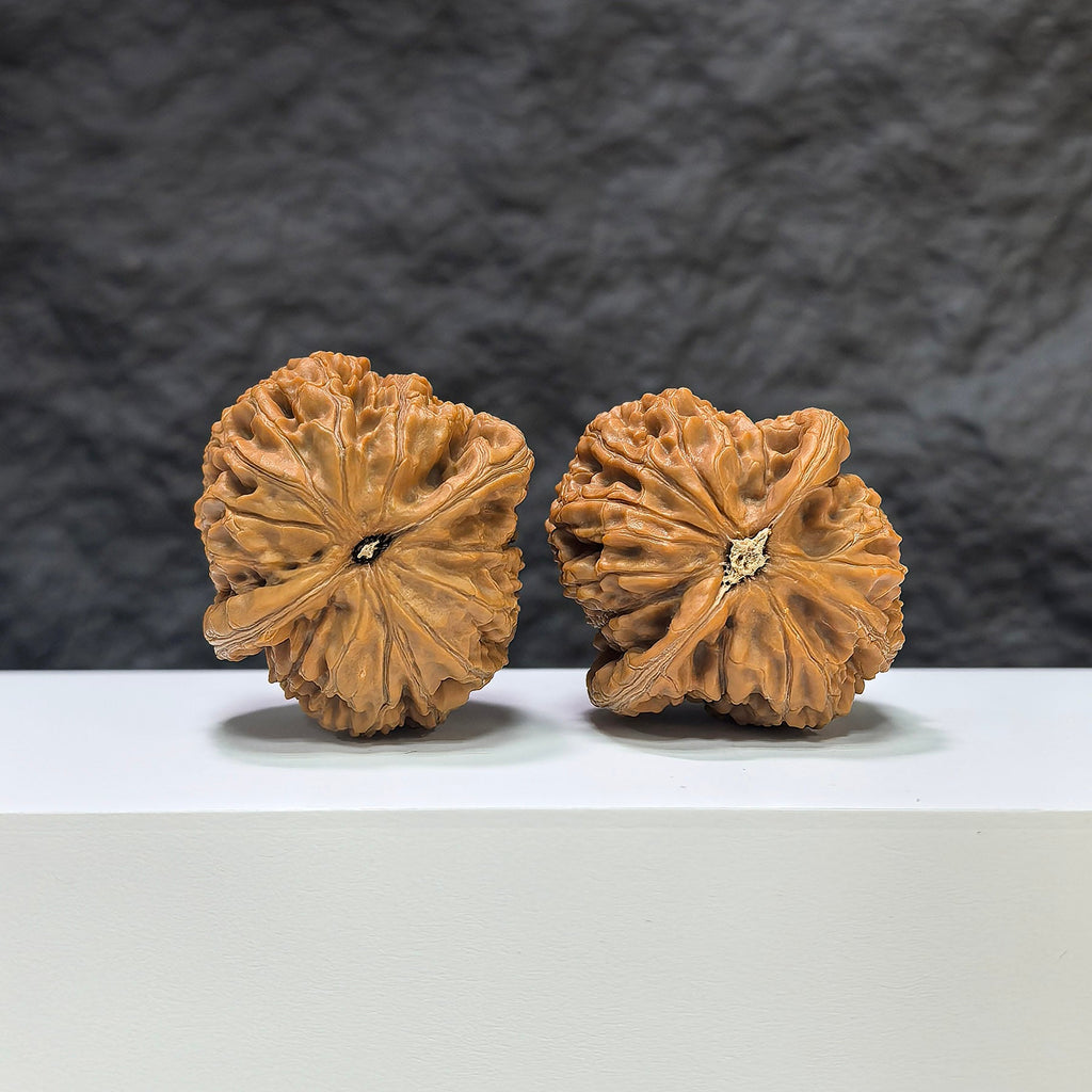 【收藏級】水龍紋 文玩核桃 (3.9 × 4.0cm) | [Collector's Grade] Water Dragon Texture Walnut (3.9 × 4.0cm) - SKU: SLW-1B6