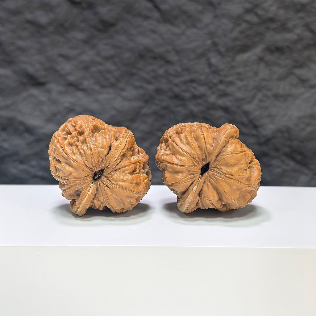 【精選級】平谷元寶 文玩核桃 (3.5 × 3.9cm) | [Selected Grade] Pinggu Sycee Walnut (3.5 × 3.9cm) - SKU: PGYB-1S2
