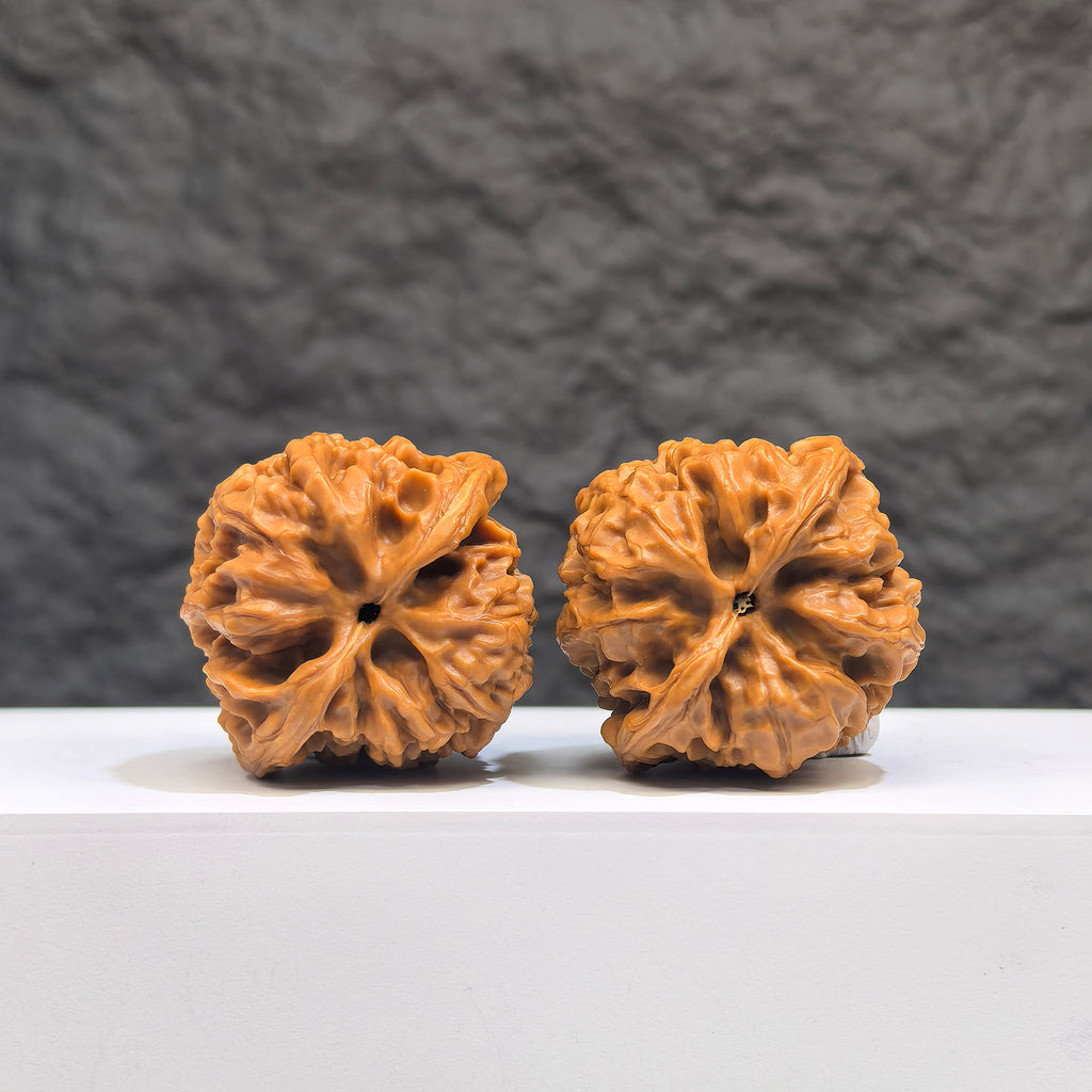 Selected grade Wenwan Art small bison walnut, 3.5cm by 3.3cm, showing smooth surface and natural wood grain detail.