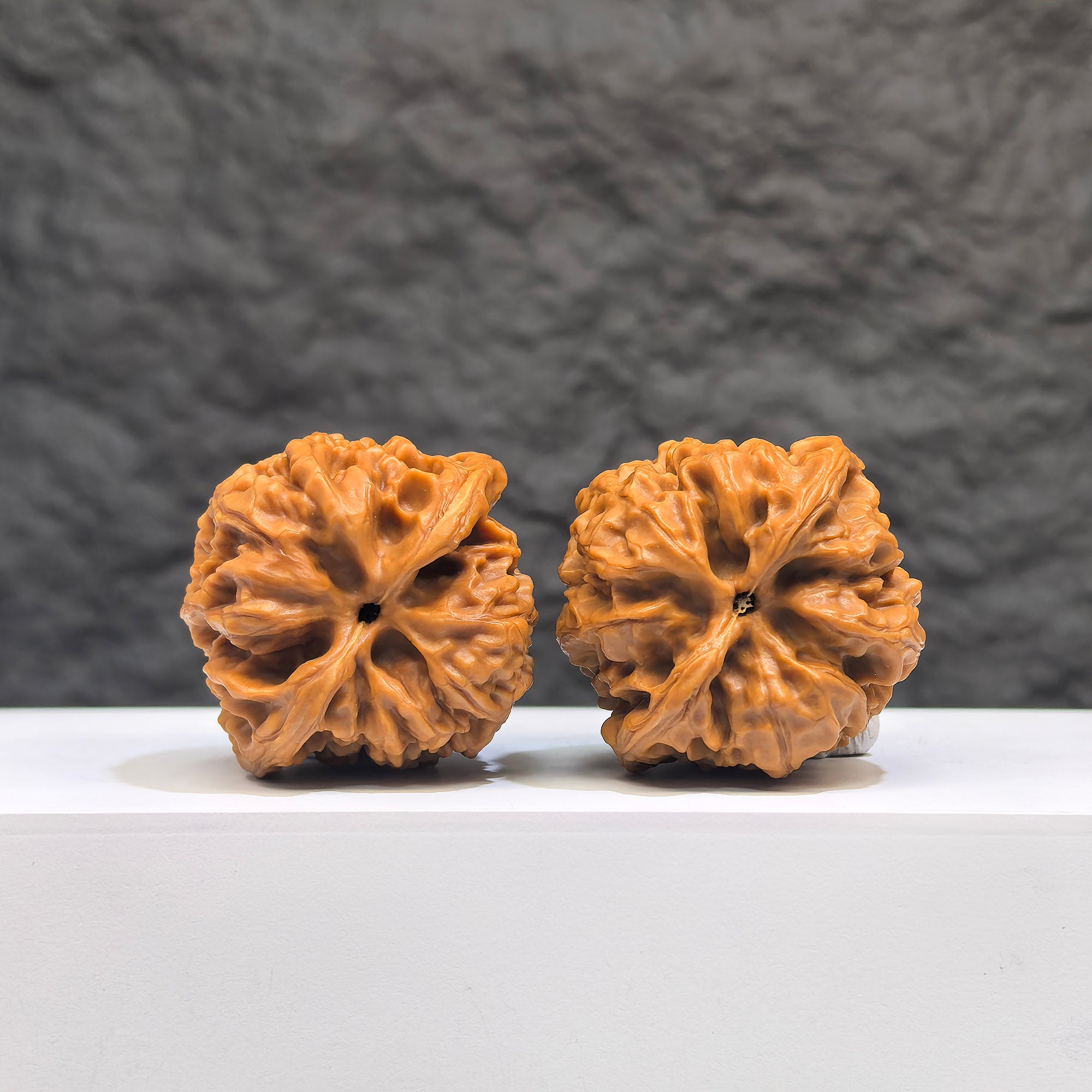 Selected grade Wenwan Art small bison walnut, 3.5cm by 3.3cm, showing smooth surface and natural wood grain detail.
