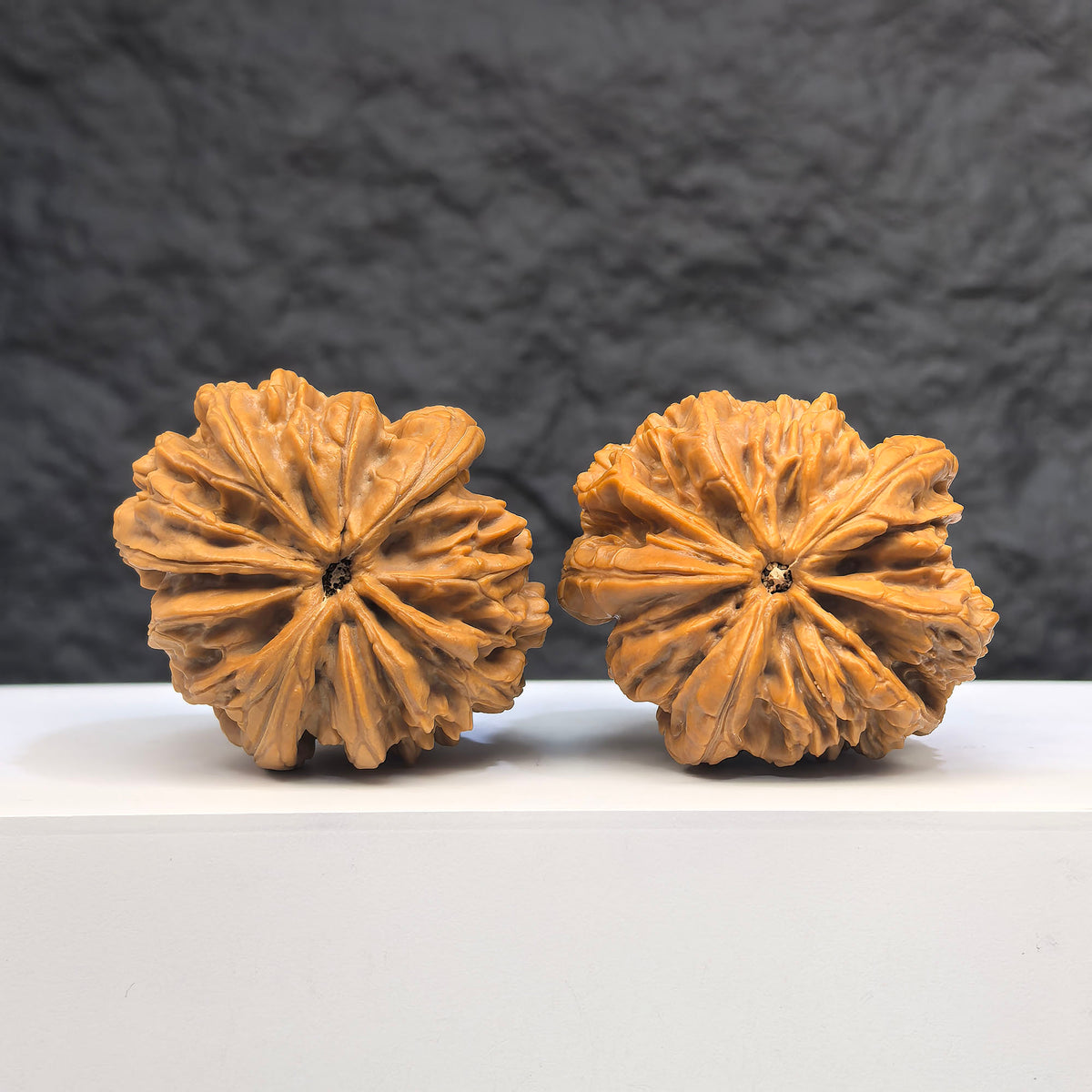Selected grade Blizzard Wenwan Walnut with natural grain, measuring 4.1 × 4.4cm, from Wenwan Art.
