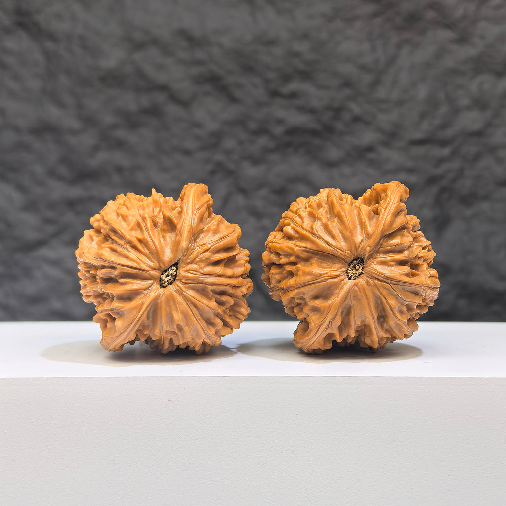 Pair of Wenwan Art Millstone Classic Wenwan walnuts, 37mm x 35mm, featuring intricate designs and natural wood textures.