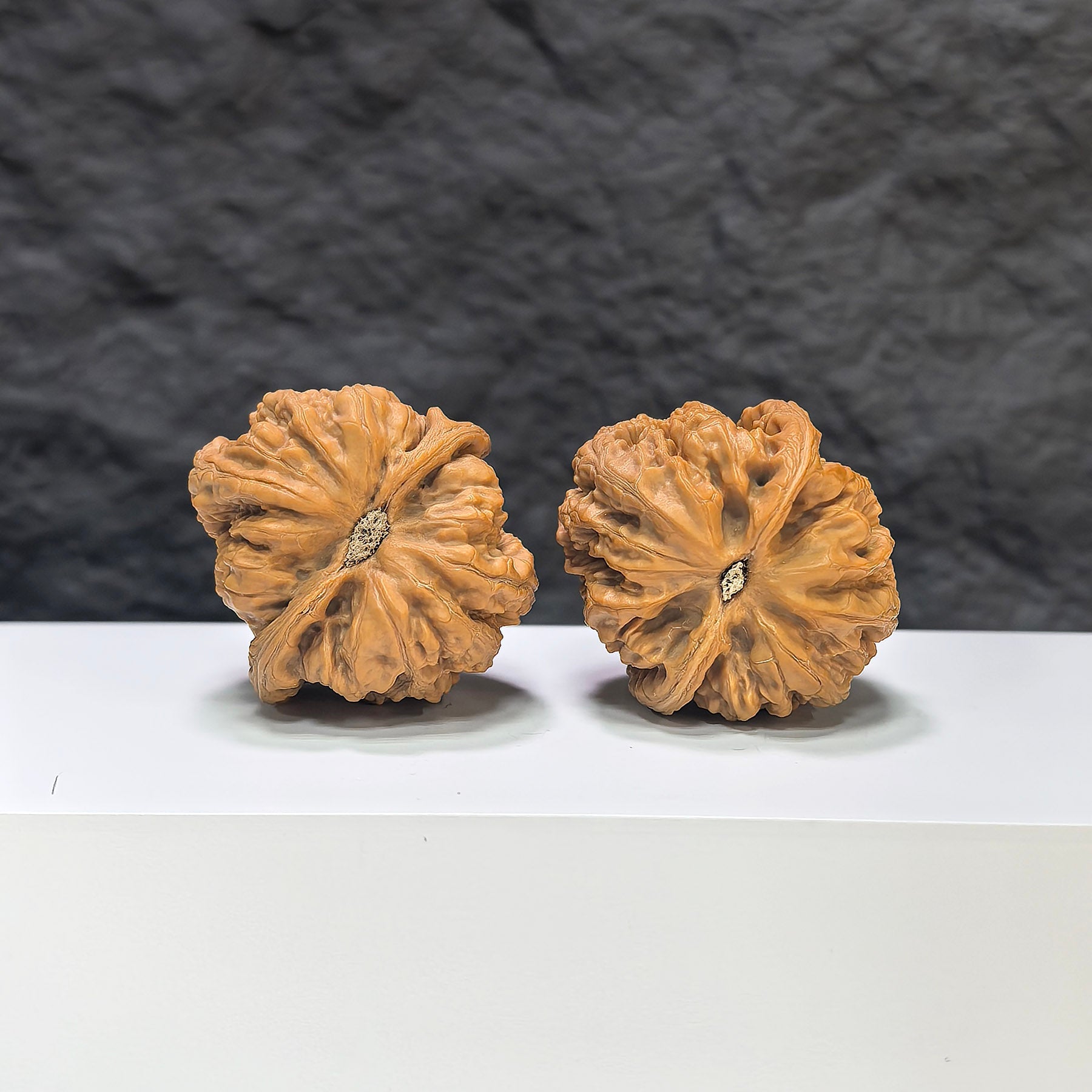 【精選級】粗筋 文玩核桃 (3.8 × 4.0cm) | [Selected Grade] Thick Rib Walnut (3.8 × 4.0cm) - SKU: CJ-1S7