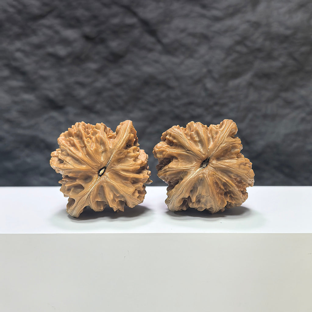 Pair of Peach Heart Xiayunling Wenwan walnuts from Wenwan Art, featuring intricate carvings and natural walnut texture.