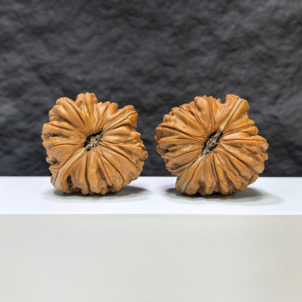 【收藏級】华坤龙 文玩核桃 (4.9 × 4.7cm) | [Collector's Grade] Huakun Dragon Walnut (4.9 × 4.7cm) - SKU: HKL-1B4