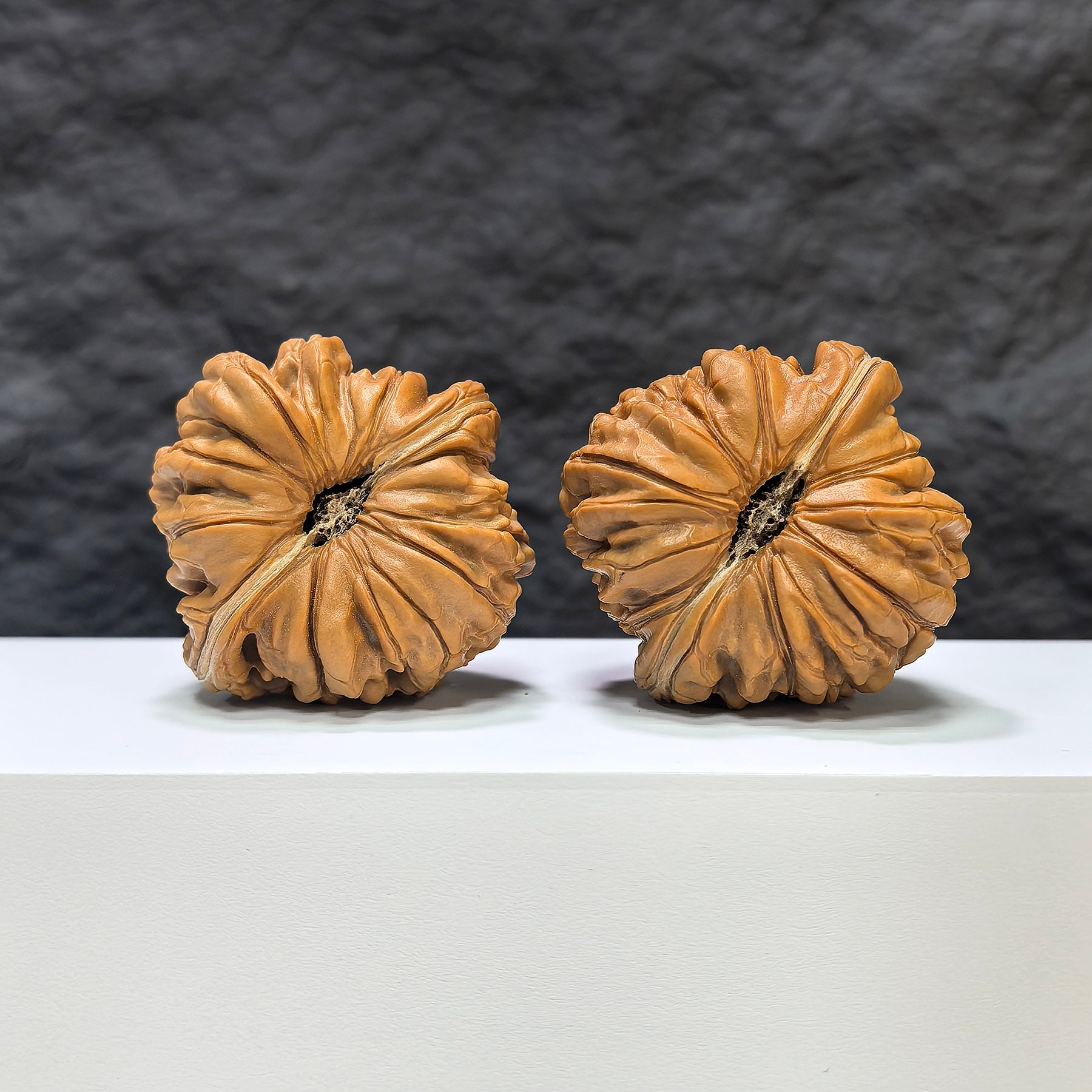 【收藏級】华坤龙 文玩核桃 (4.9 × 4.7cm) | [Collector's Grade] Huakun Dragon Walnut (4.9 × 4.7cm) - SKU: HKL-1B4