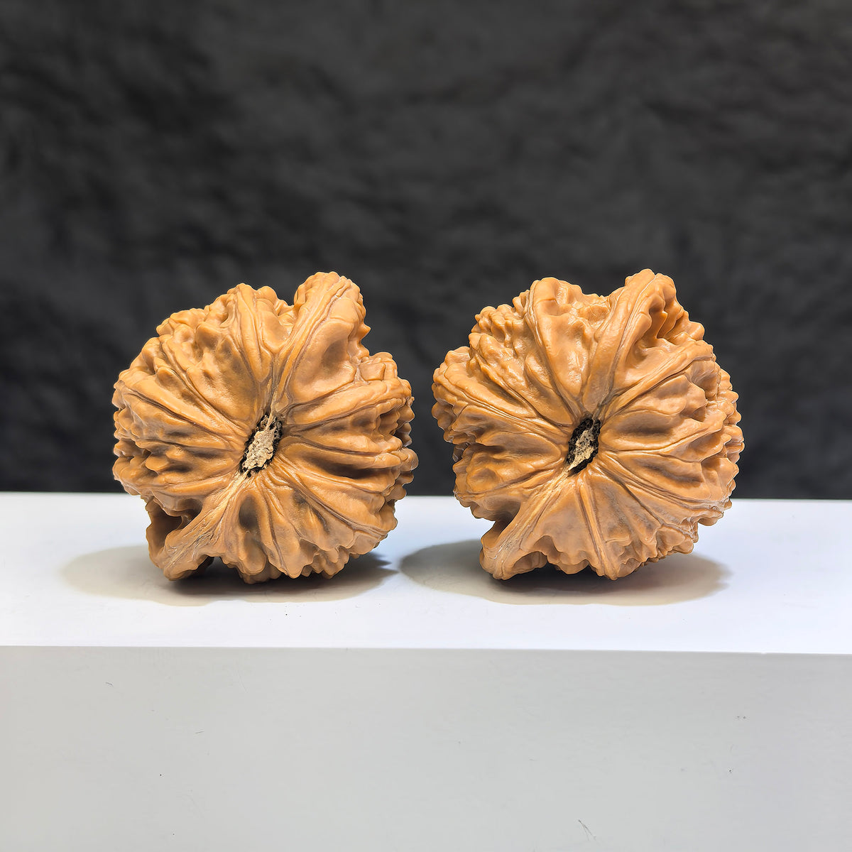 Pair of Low-pointed White Lion Wenwan Walnuts from Wenwan Art, 41mm x 38mm, featuring detailed white lion carvings.