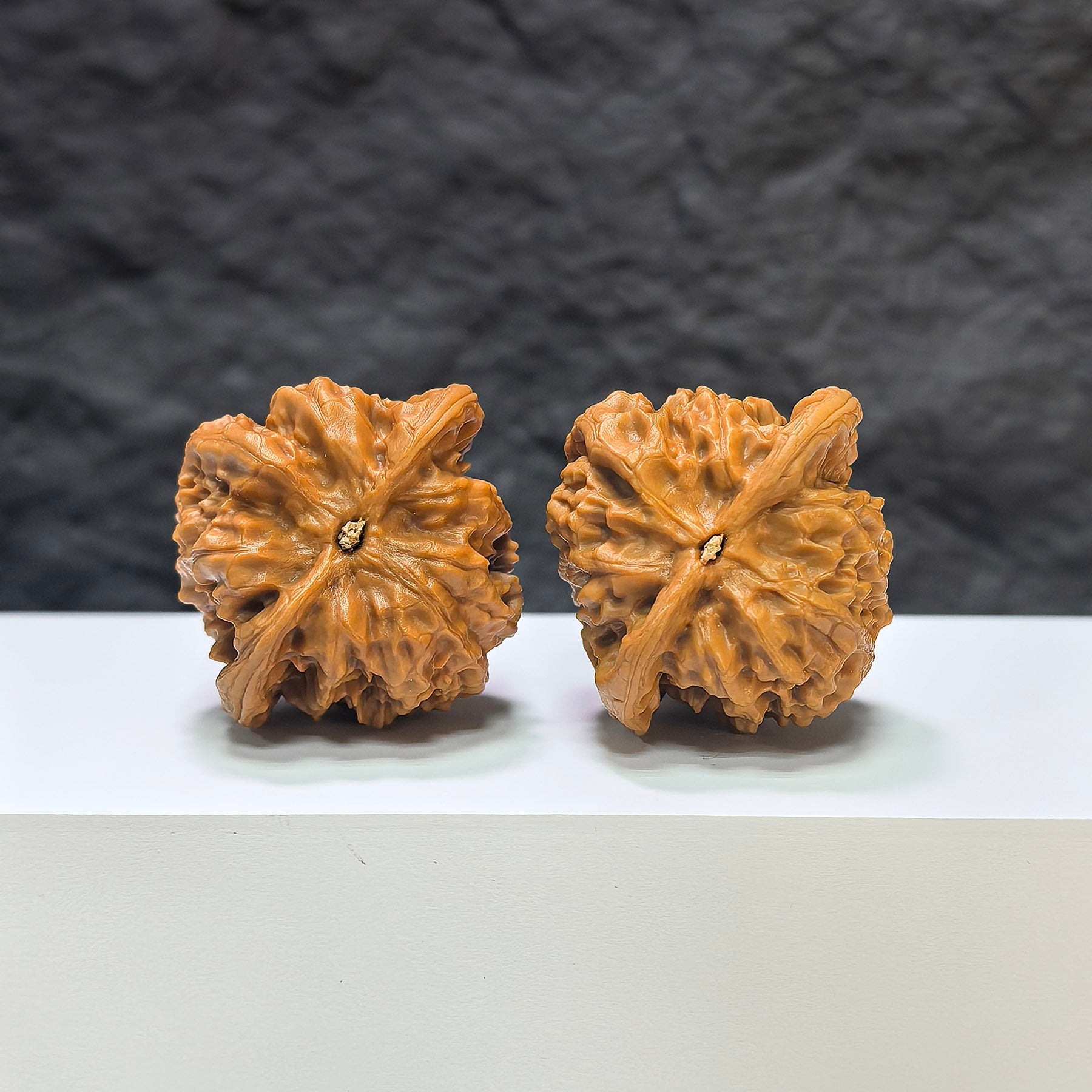 【收藏級】野狼 文玩核桃 (4.0 × 3.8cm) | [Collector's Grade] Wild Wolf Walnut (4.0 × 3.8cm) - SKU: YN-1A5