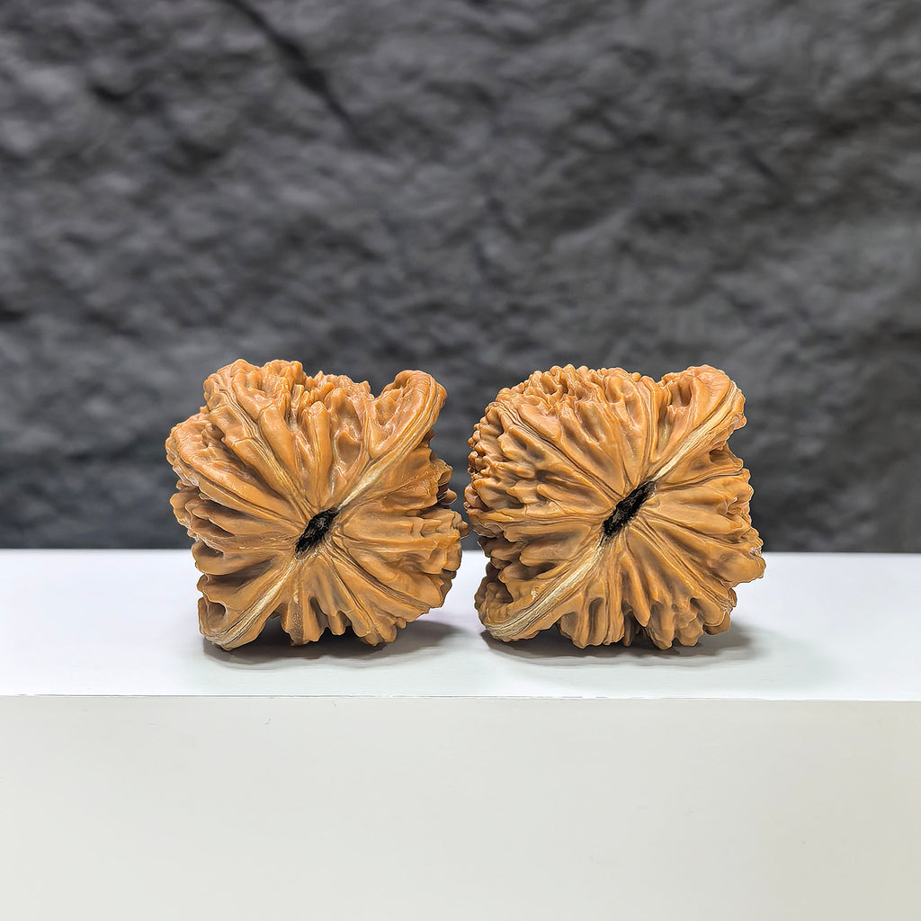 Pair of Sizuolou Wenwan walnuts by Wenwan Art, 41mm x 38mm, featuring intricate carvings and natural walnut wood textures.