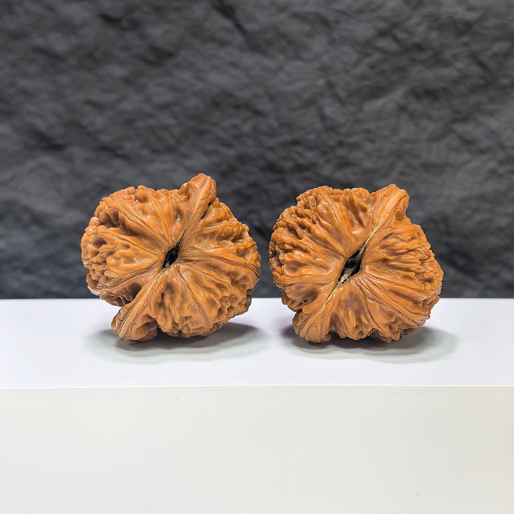 【精選級】平谷元寶 文玩核桃 (4.2 × 4.2cm) | [Selected Grade] Pinggu Sycee Walnut (4.2 × 4.2cm) - SKU: PGYB-1S5