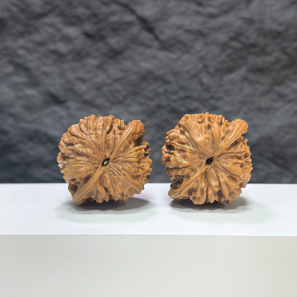 Large Wenwan Art official hat-shaped walnut pair, premium Wenwan walnuts with 40mm and 36mm sizes, detailed natural wood texture.