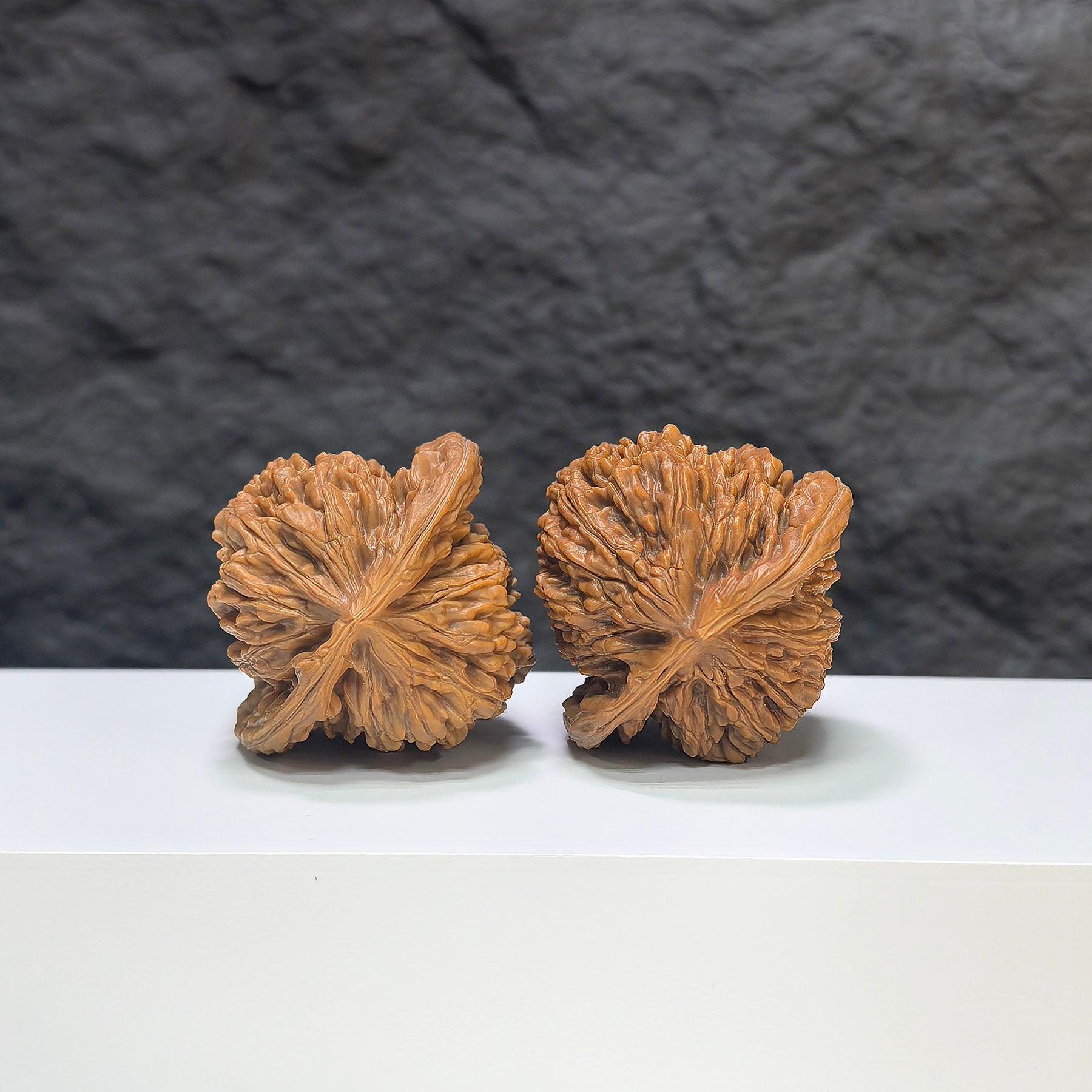 Selected grade Sizuolou Wenwan Walnut, 4.2x3.9cm, showcasing smooth, polished surface and natural wood grain details.