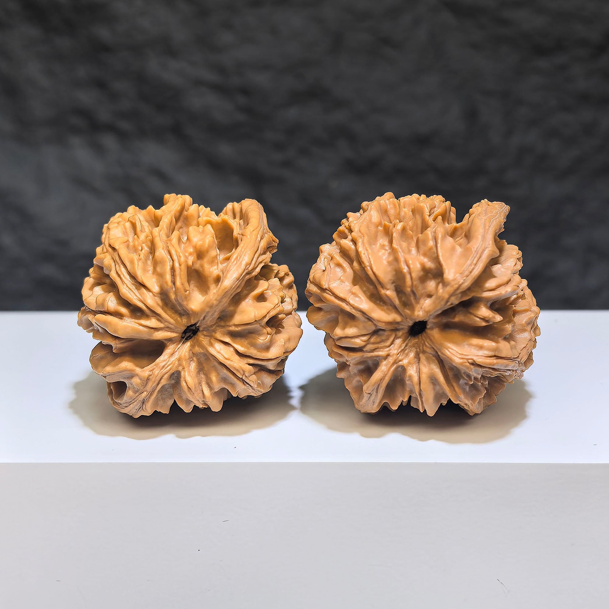Pair of Tongtian Eight Wenwan walnuts from Wenwan Art, featuring polished wood with intricate grain patterns and smooth surfaces.