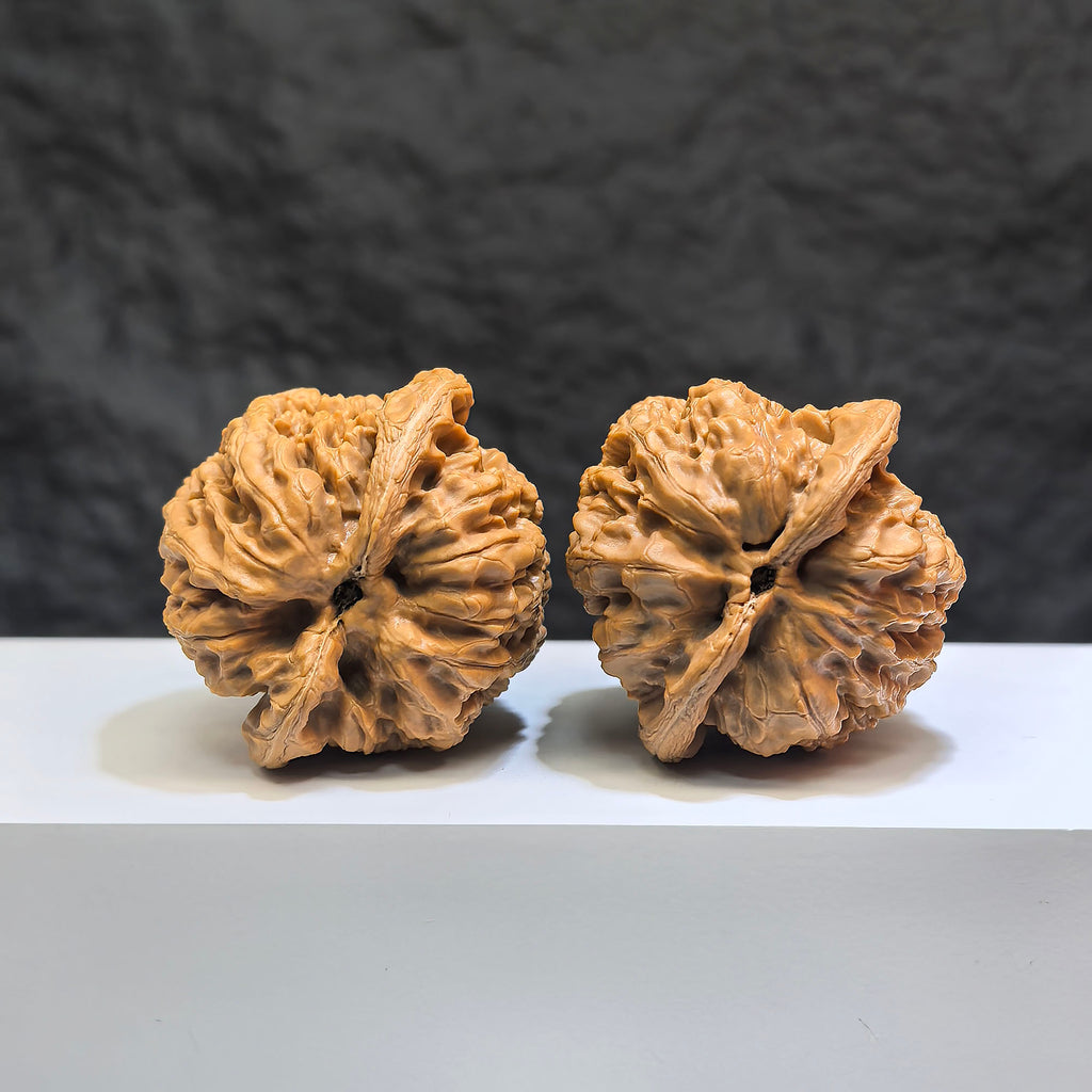 Pair of Classic Scholar Wenwan Walnuts from Wenwan Art, hand-matched with 44mm and 42mm sizes, showcasing detailed craftsmanship.