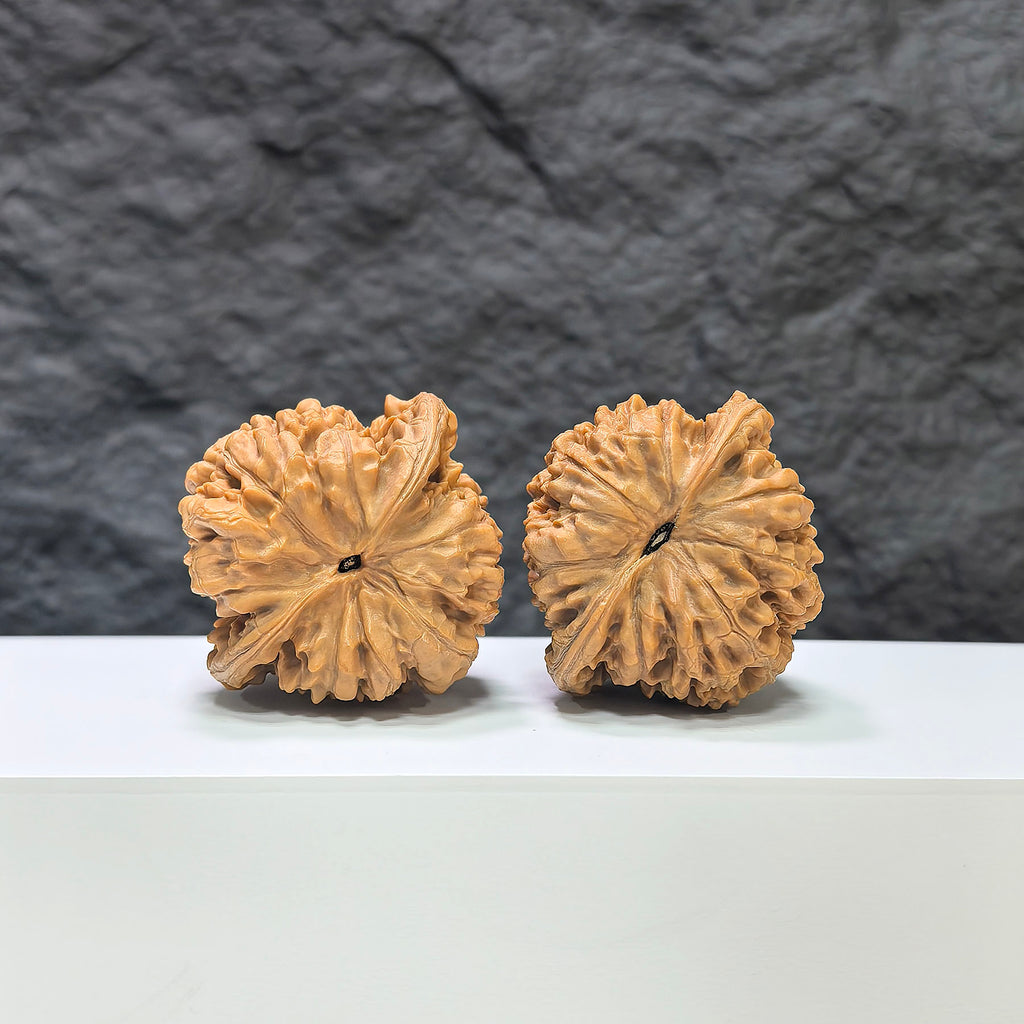 Concave base peach heart Wenwan walnut from Wenwan Art, featuring deep base and detailed craftsmanship, 43mm size.