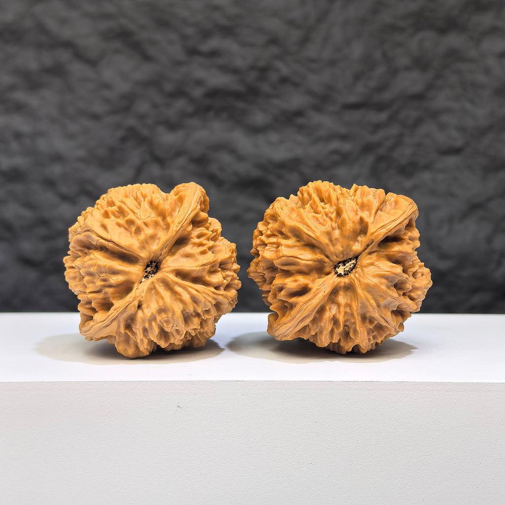 Pair of Yuhua Stone Wenwan walnuts from Wenwan Art, showing detailed natural textures and smooth, polished surfaces.