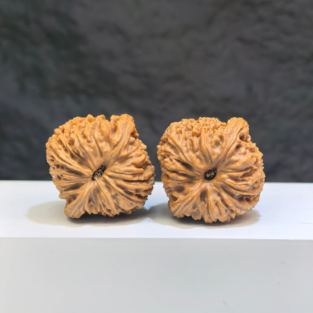 Pair of Nanjiangstone Wenwan walnuts from Wenwan Art, 37mm each, showcasing detailed natural stone texture and craftsmanship.