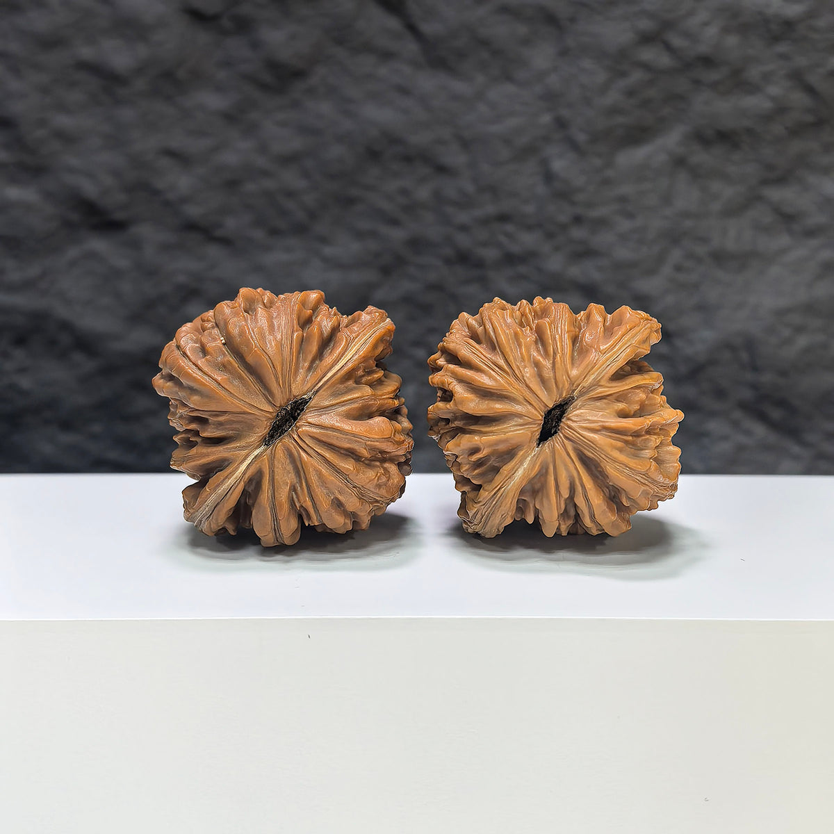 Selected grade Wenwan Walnut from Wenwan Art, four-seat Sizuolou walnut, measuring 4.1×4.0cm, showcasing smooth polished surface.