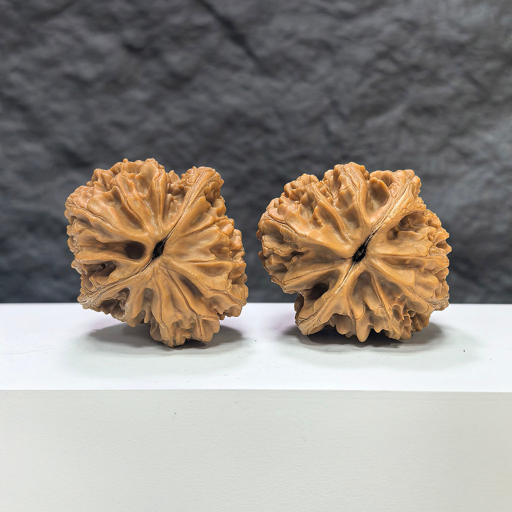 Pair of Dazhan Stone Wenwan walnuts from Wenwan Art, showcasing smooth, polished classic walnut carvings with natural stone patterns.