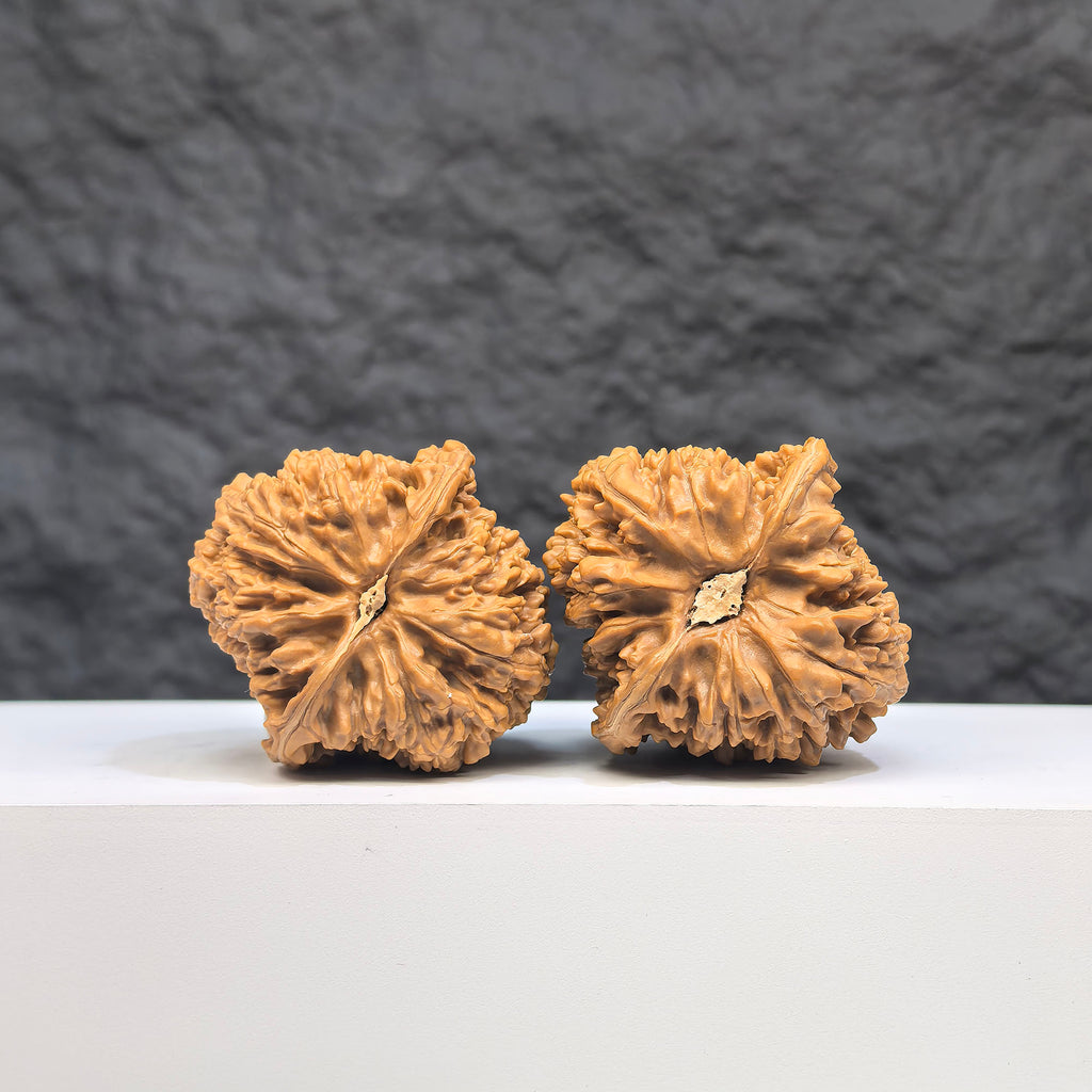 Pair of Peach Heart Concave Base Wenwan Walnuts with star patterns, featuring deep bases and full star designs, by Wenwan Art.