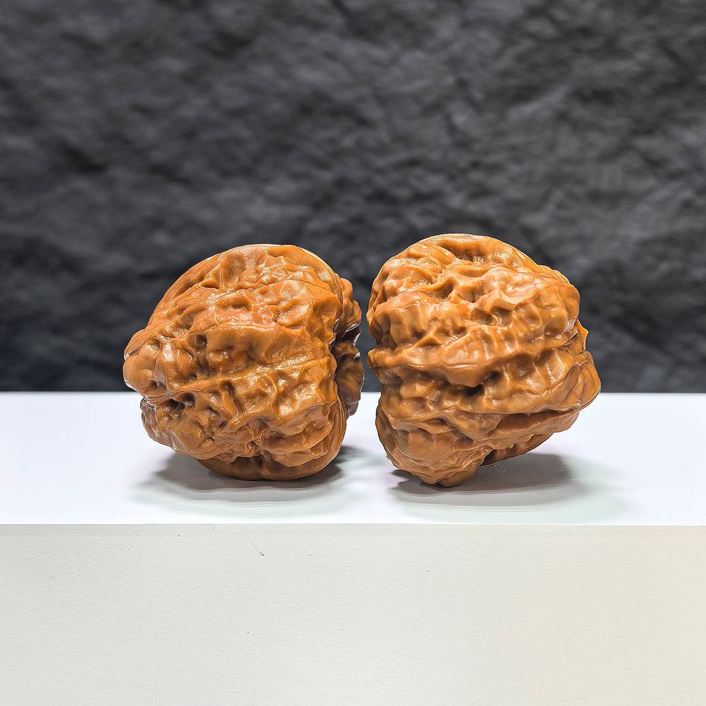 【收藏級】蟾蜍水晶蛙 文玩核桃 (3.6 × 4.2cm) | [Collector's Grade] Toad Crystal Frog Walnut (3.6 × 4.2cm) - SKU: SJW-1A7