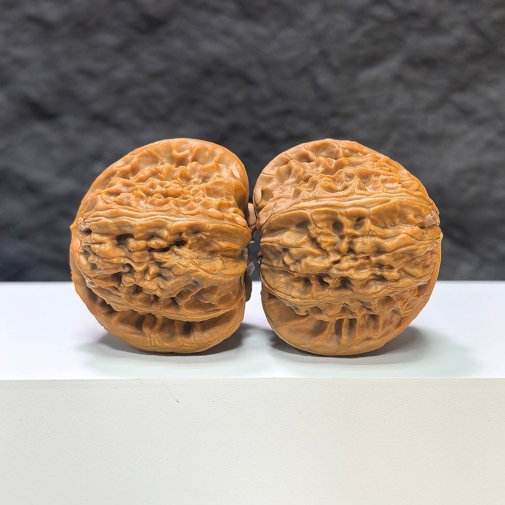 【收藏級】三角白獅子 文玩核桃 (4.4 × 4.3cm) | [Collector's Grade] Tri-Angular White Lion Walnut (4.4 × 4.3cm) - SKU: BSZ-1A2