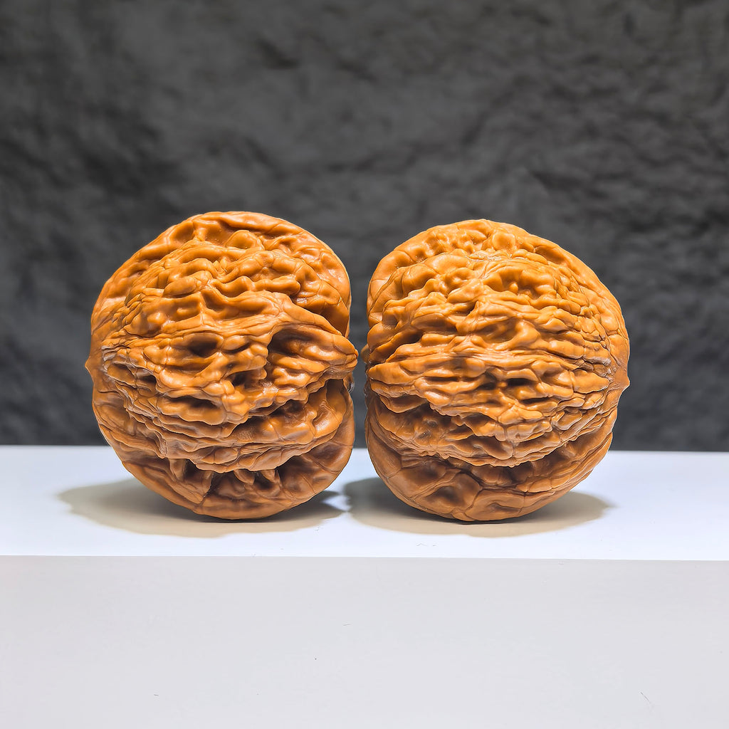 【收藏級】獅虎獸 文玩核桃 (4.7 × 4.4cm) | [Collector's Grade] Liger Walnut (4.7 × 4.4cm) - SKU: SHS-1Z0