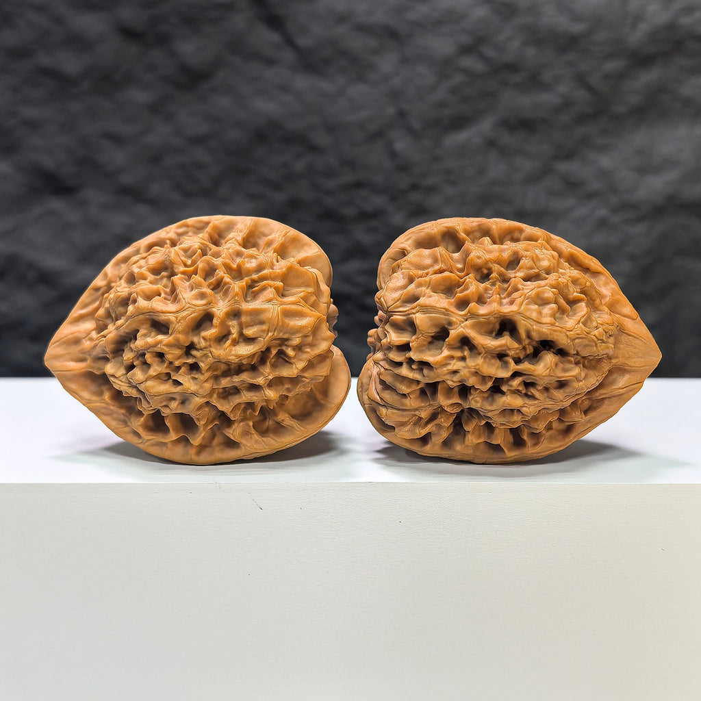 【收藏級】麒麟紋 文玩核桃 (4.3 × 4.0cm) | [Collector's Grade] Kylin Texture Walnut (4.3 × 4.0cm) - SKU: QLW-1A6