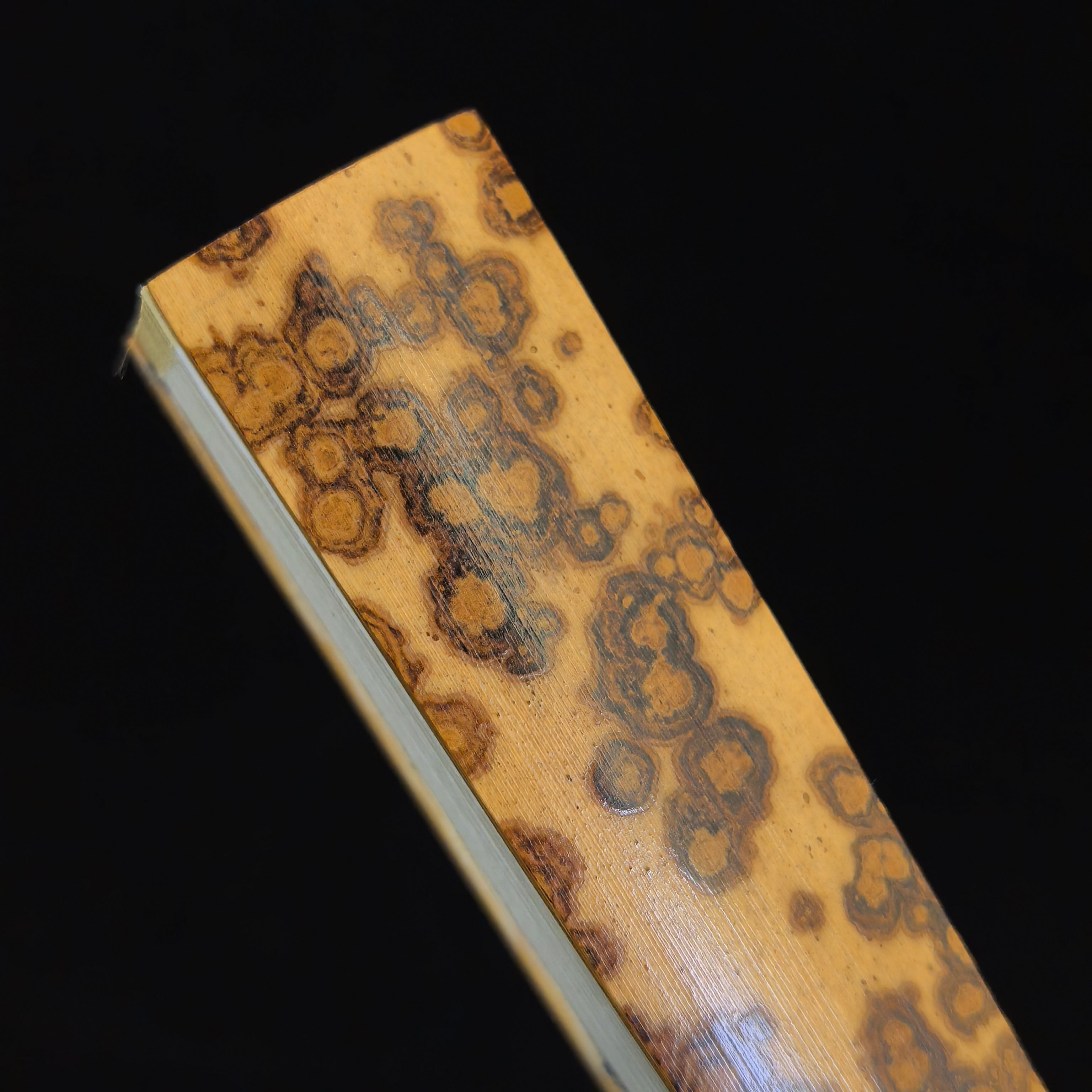 [Master Yu Quan] Aged Yunfei Bamboo Fan - Concealed Qing "Temple Gate" & Horse Tooth Head (9.5 Inch / 16 Ribs) | 余全手作 老雲妃竹 隱形清式廟門肩馬牙頭 9.5寸16方2.0